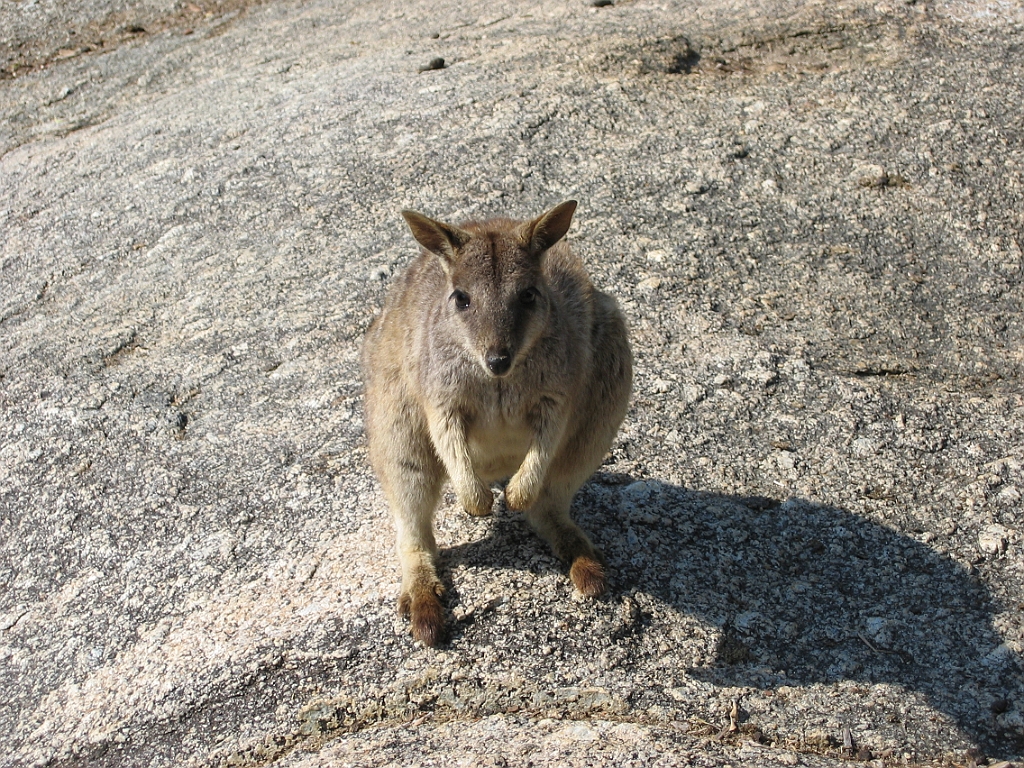 084 Granite Gorge.jpg